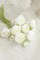 18-Piece Ivory Artificial Ranunculus Flowers with Stems – Faux Silk Mini Ranunculus Bouquet Fillers for DIY Floral Arrangements, Wedding Bouquets, Centerpieces & Bridal Shower Decorations